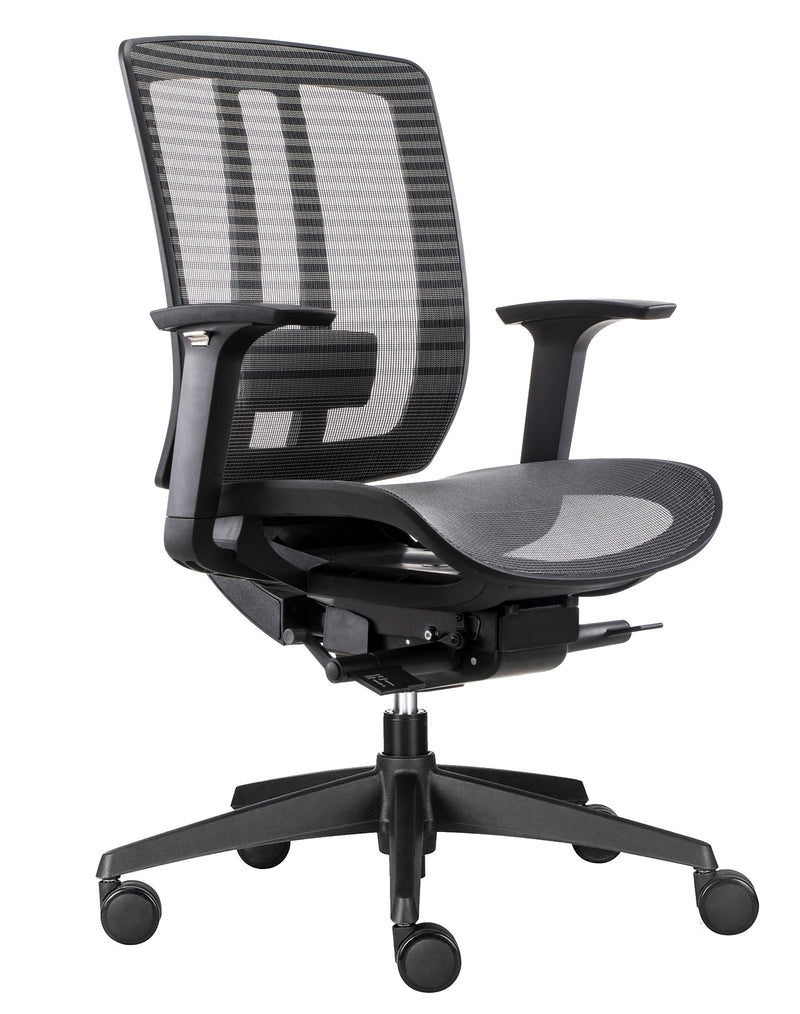 Ergonomic Chairs