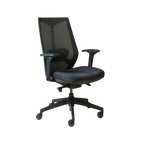 Arco Pro Ergonomic Mesh Chair