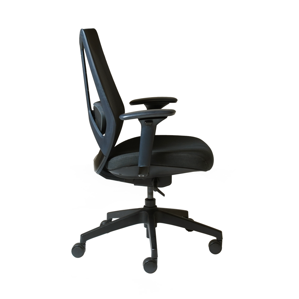 Arco Pro Ergonomic Mesh Chair