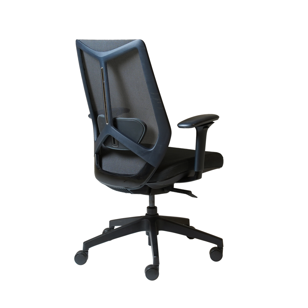 Arco Pro Ergonomic Mesh Chair
