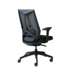 Arco Pro Ergonomic Mesh Chair