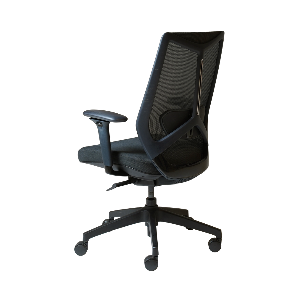 Arco Pro Ergonomic Mesh Chair