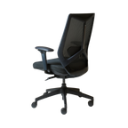 Arco Pro Ergonomic Mesh Chair