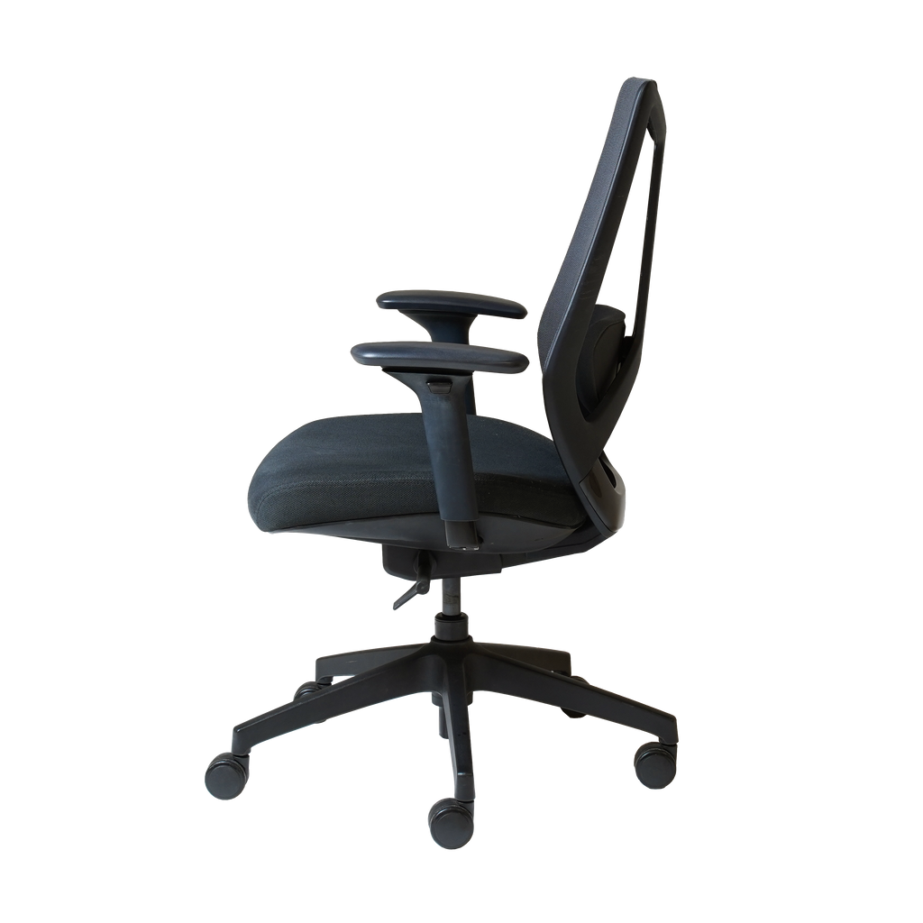 Arco Pro Ergonomic Mesh Chair