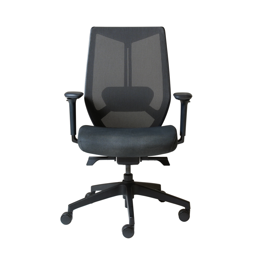 Arco Pro Ergonomic Mesh Chair