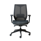 Arco Pro Ergonomic Mesh Chair