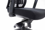 Cascade Ergonomic Mesh Task Chair
