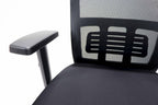 Cascade Ergonomic Mesh Task Chair
