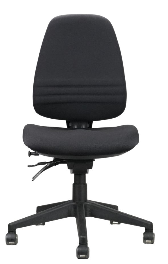 Endeavour Pro Ergonomic Task Chair