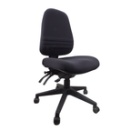 Endeavour Pro Ergonomic Task Chair