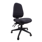 Endeavour Pro Ergonomic Task Chair