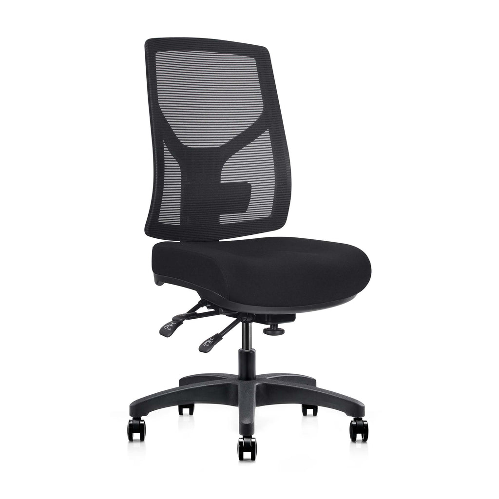 Gust Pro Ergonomic Mesh Task Chair