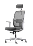Lotto Pro Ergonomic Mesh Chair