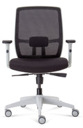 Aero Luminous Pro Mesh Ergonomic Chair