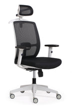 Aero Luminous Pro Mesh Ergonomic Chair