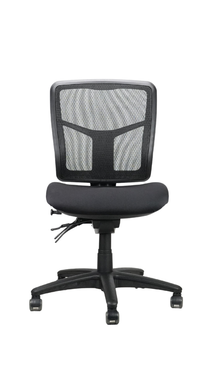 Mirae Pro Ergonomic Mesh Chair