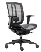 Oasis Pro Mesh Ergonomic Chair
