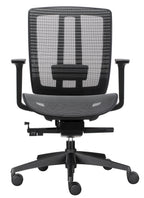 Oasis Pro Mesh Ergonomic Chair