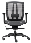 Oasis Pro Mesh Ergonomic Chair