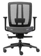 Oasis Pro Mesh Ergonomic Chair
