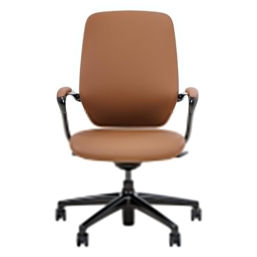 Astral Meeting Chair - alternate view, size or finish; optional items may be shown